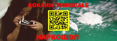 эйфоретик Кингисепп