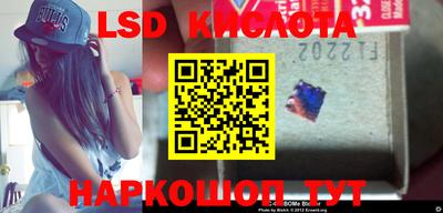 эйфоретик Кингисепп