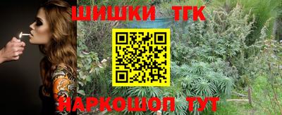 эйфоретик Кингисепп
