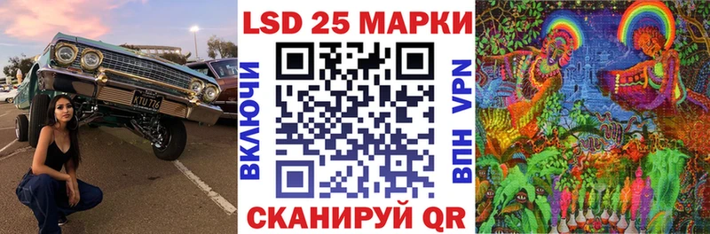 Марки N-bome 1,5мг Лесной