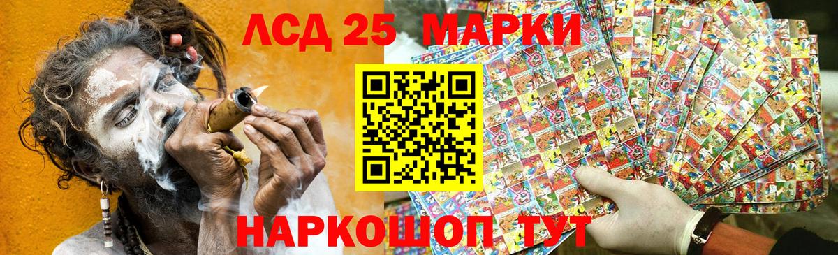 Наркотические марки 1500мкг  где можно купить наркотик  Марки 25I-NBOMe  Вход с VPN  Лесной  Наркотические марки 1500мкг 