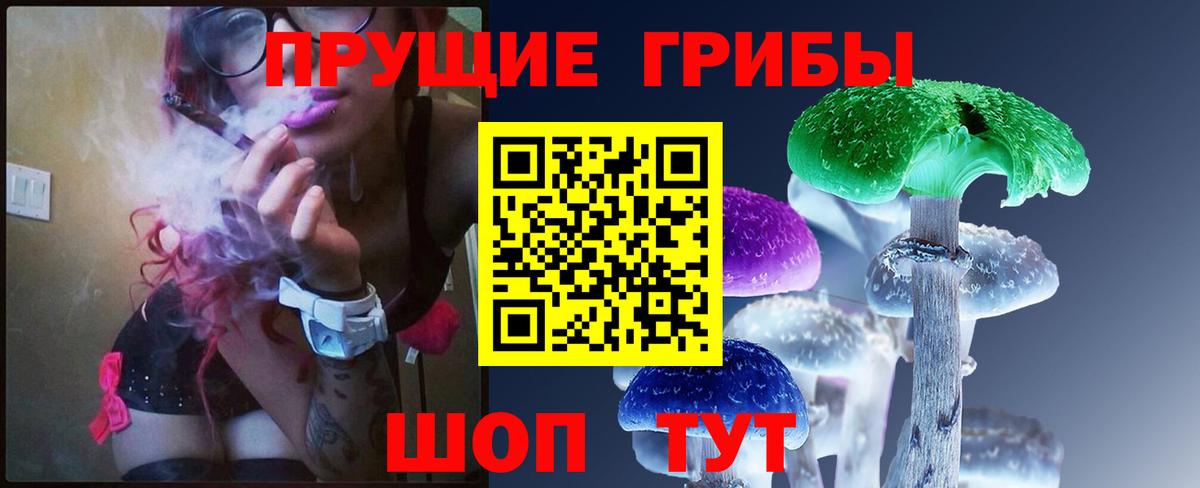 Галлюциногенные грибы GOLDEN TEACHER Лесной
